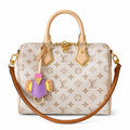 Louis Vuitton Classic Roomy Crossbody Bag 26×19×15cm