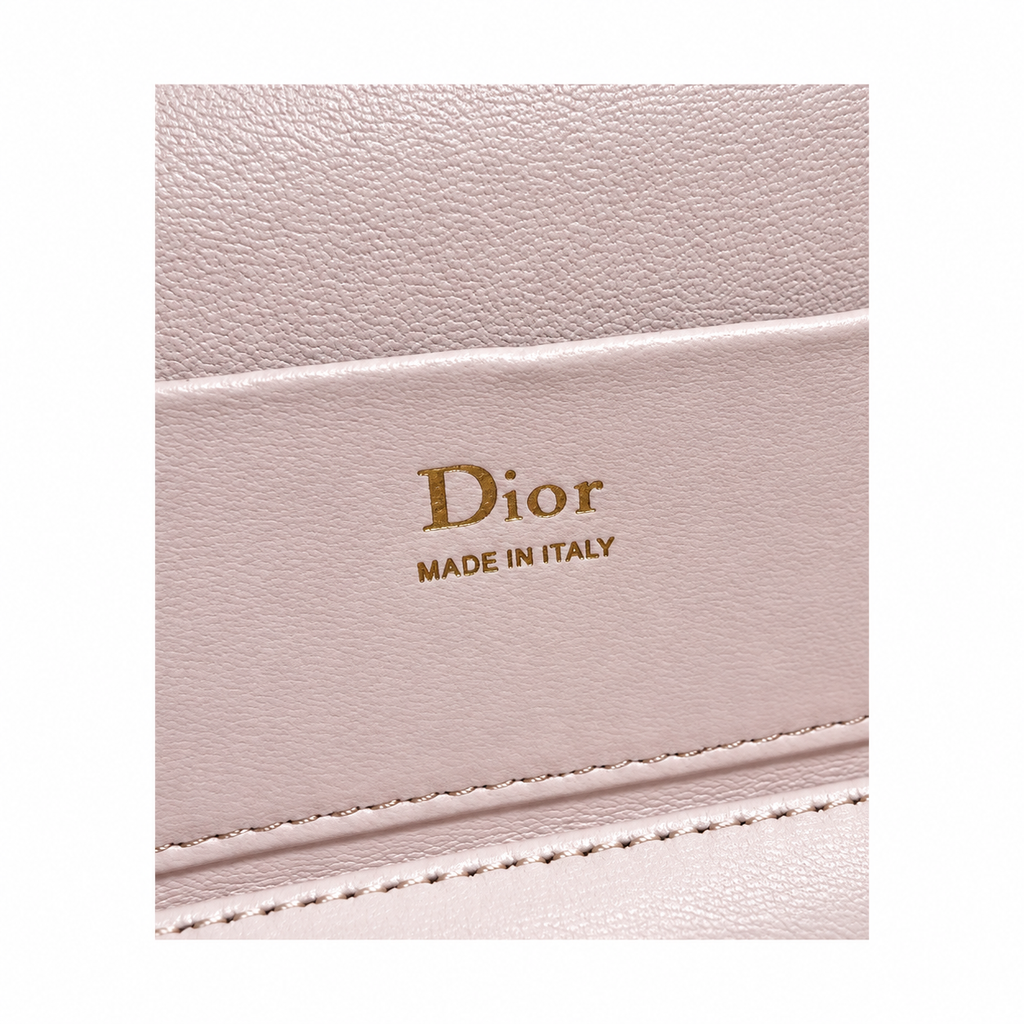 Dior Cannage Quilted Everyday Mini Bag 17.5cm
