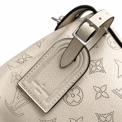 Louis Vuitton Classic Crossbody Bag 29×18×13cm