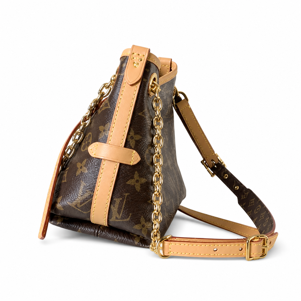 Louis Vuitton LV Monogram Vertical Camera Shoulder Bag | 17×10×26cm Luxury Handbag