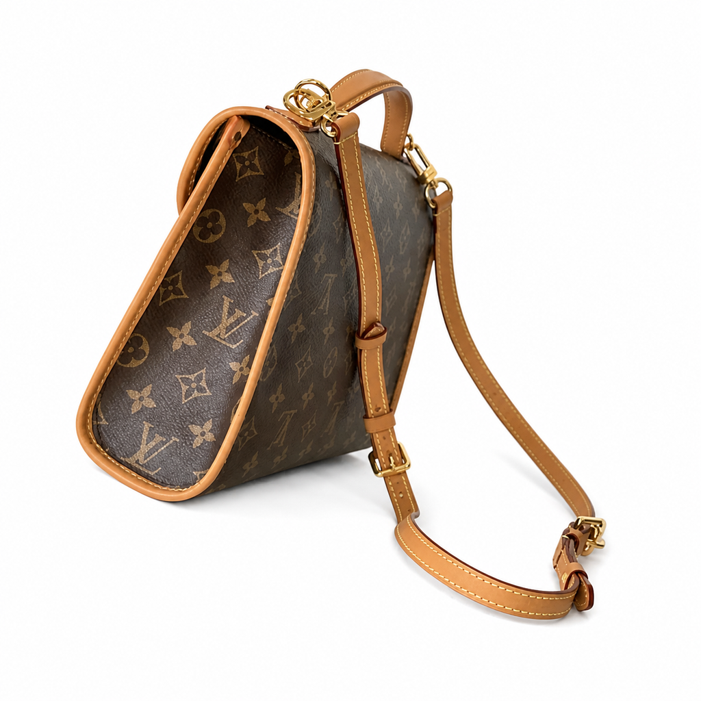 Louis Vuitton Classic Everyday Crossbody Bag 29×24×10cm
