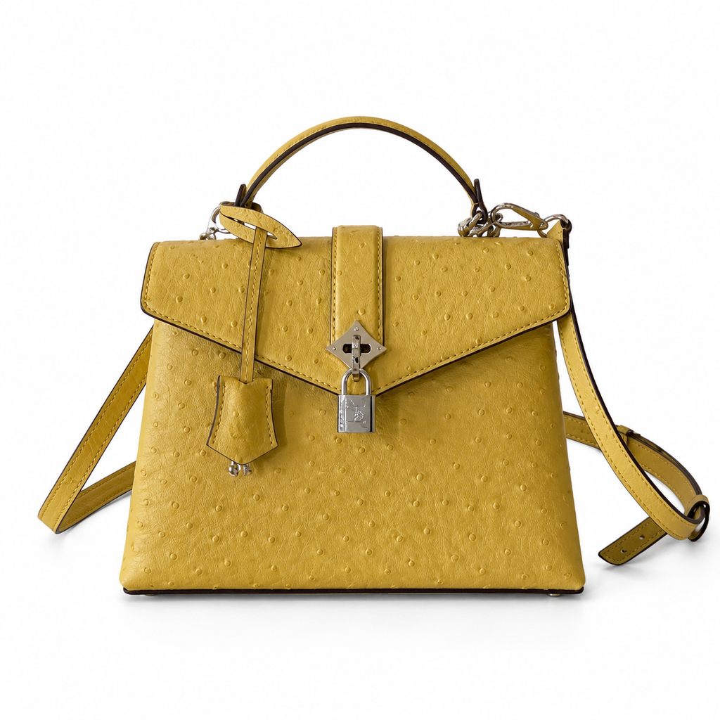 Louis Vuitton Iconic Luxury Crossbody Bag 19×8×13.5cm