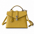 Louis Vuitton Iconic Luxury Crossbody Bag 19×8×13.5cm