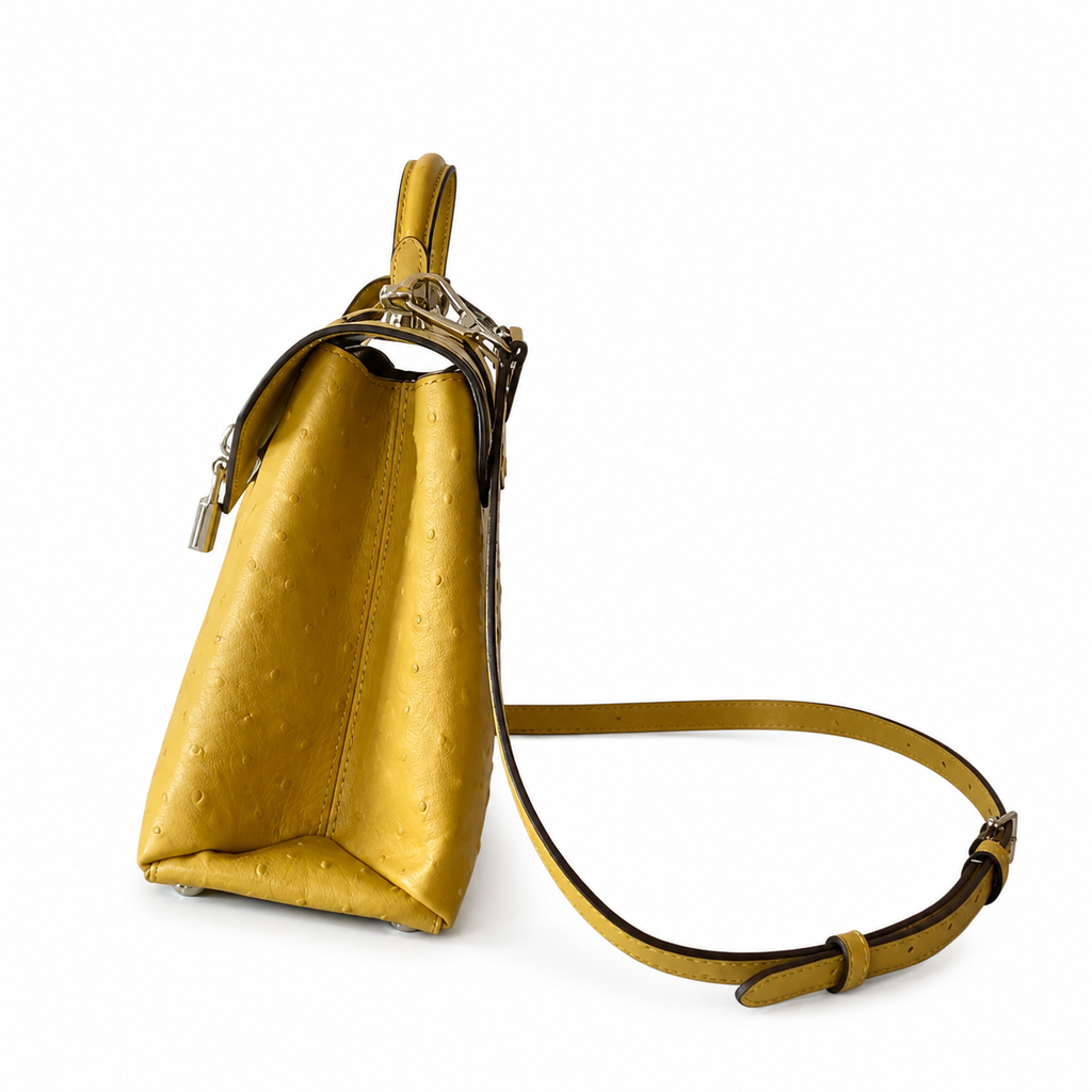 Louis Vuitton Iconic Luxury Crossbody Bag 19×8×13.5cm