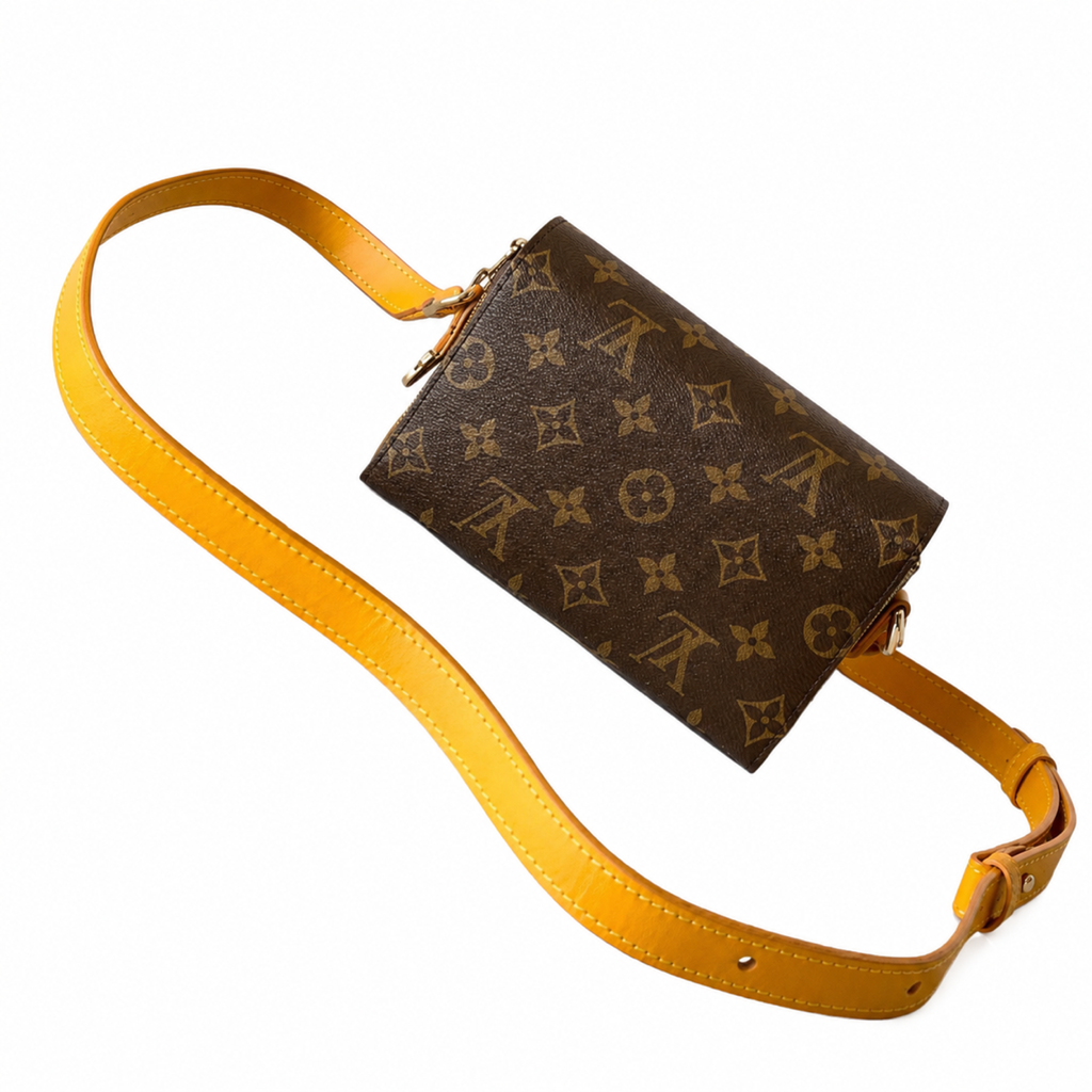Louis Vuitton LV Monogram Mini Chain Crossbody Bag | 18×11×6.5cm Luxury Handbag
