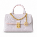 Louis Vuitton Classic Elongated Vertical Crossbody Bag 12.5×6×21cm